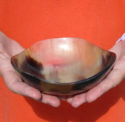 6 inches Horn Bowl with Wavy Edge - $19.20 each <font color=red> CLOSEOUT SALE </FONT> 2 $ 9.60 EACH; 8 @ $8.65 EACH