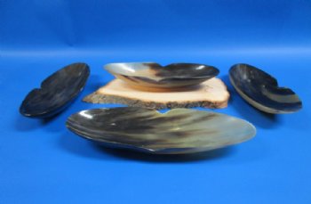 10-1/2 inches Boat Shaped Buffalo Horn Bowls - $17.99 each; <font color=red> CLOSEOUT SALE </font> 2 @ $9.60 each; 6 @ $8.65 each