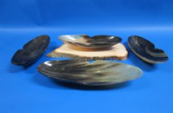 10-1/2 inches Boat Shaped Buffalo Horn Bowls - $17.99 each; <font color=red> CLOSEOUT SALE </font> 2 @ $9.60 each; 6 @ $8.65 each