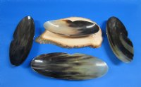 10-1/2 inches Boat Shaped Buffalo Horn Bowls - $17.99 each; <font color=red> CLOSEOUT SALE </font> 2 @ $9.60 each; 6 @ $8.65 each