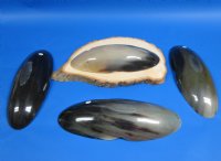 10-1/2 inches Boat Shaped Buffalo Horn Bowls - $17.99 each; <font color=red> CLOSEOUT SALE </font> 2 @ $9.60 each; 6 @ $8.65 each