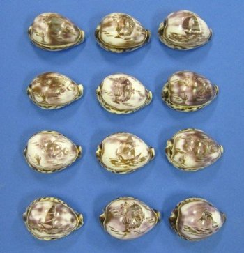 Carved Tiger Cowrie Shells  <font color=red> Wholesale</font> (Sealife, Ocean Scenes) - 80 @ $1.20 each