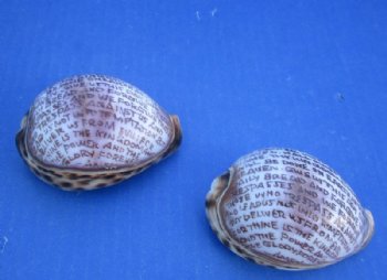 Carved Lord's Prayer on Tiger Cowrie Shells - 10 @ $3.00 each