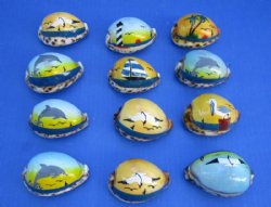 Painted Seashells, Carved Seashells