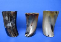 7-1/2 inches Large Polished Horn Beer Pitcher  <font color=red> Wholesale</font> - 4 @ $30 each <font color=red> (CLOSEOUT 5 @ $18.00 each) </font>
