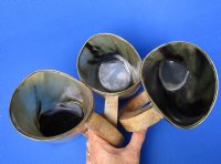 6 inches Polished Horn Mug with Brass Trim - $35.99 <font color=red> (CLOSEOUT $20.80 EACH)</FONT>