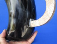 6 inches Polished Horn Mug with Brass Trim - $35.99 <font color=red> (CLOSEOUT $20.80 EACH)</FONT>