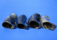 6 inches Horn Mugs with an Engraved Chief's Profile <font color=red> Wholesale</font> - 8 @ $24.00 each <font color=red> (CLOSEOUT 8 @ $12.00 each) </font>
