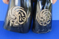 Polished Cow Horns with Engraved Dragon 11 to 13 inches <font color=red> Wholesale</font> - 8 @ $14.75;  <font color=red> (CLOSEOUT 14 @ $7.00 each) </font> 