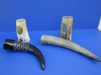 Engraved Drinking Horns with Wavy lines and Horn Stands 13 to 15 inches <font color=red> Wholesale</font> - 8 @ $15.50 each   <font color=red> (CLOSEOUT 10 @ $9.00 EACH)</FONT>