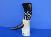 Engraved Drinking Horns with Wavy lines and Horn Stands 13 to 15 inches <font color=red> Wholesale</font> - 8 @ $15.50 each   <font color=red> (CLOSEOUT 10 @ $9.00 EACH)</FONT>