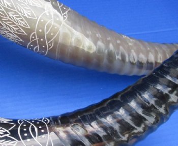 23 to 26 inches Spiral and Leaf Design Carved Horn Sculpture on Wood Base - $79.99 each <FONT COLOR=RED> CLOSEOUT $30.40 EACH </FONT>