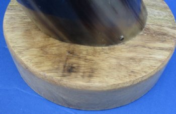 23 to 26 inches Spiral and Leaf Design Carved Horn Sculpture on Wood Base - $79.99 each <FONT COLOR=RED> CLOSEOUT $30.40 EACH </FONT>