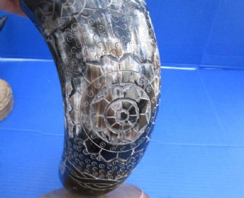 19 to 32 inches Large Cow Horn Centerpiece with Engraved Rope and Emblem, Carved Horn Sculpture <font color=red> Wholesale</font> -  $55 each <Font color=red> CLOSEOUT 5 @ $19.00 EACH</FONT>
