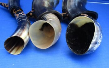 12 inches Arrow Sunburst Design Painted and Carved Drinking Horn with Horn Stand for Sale - $23.99  <font color=red> (CLOSEOUT $15.99 EACH)</FONT>