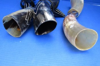 13 to 15 inches Decorative Carved Drinking Horn with Horn Stand - $23.99  <font color=red> (CLOSEOUT $15.99 EACH)</FONT>