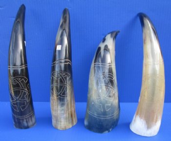 Engraved Cow Horns in a Modern Art Design<font color=red> Wholesale</font> 11 to 14 inches -  8 @ $13.00 each;  <font color=red> (CLOSEOUT 14 @ $7.00 each) </font> 