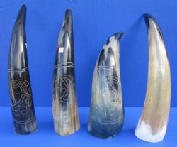 11 to 15 inches Engraved Polished Cow, Ox Horn for Sale with  Modern Art Design - $20.99 each  <font color=red> (CLOSEOUT $12.80 EACH)</FONT>