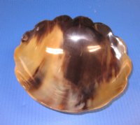 8 inches Round Buffalo Horn Scalloped Bowl - $25.60 each <font color=red> CLOSEOUT $14.40 EACH</font>