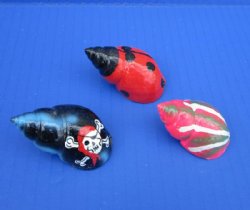 Painted Babylonia Hermit Crab Shells with Skulls, Beetles, Abstract Art, Sun and More -  50 @ .72 each; 100 @ .64 each; 