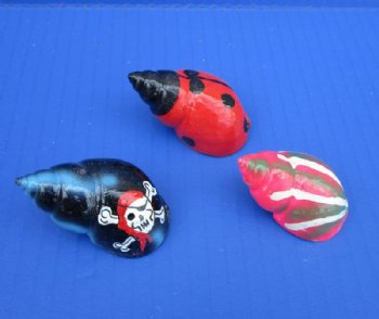 Painted Babylonia Hermit Crab Shells<font color=red> Wholesale</font> with Skulls, Beetles, Abstract Art, Sun and More -  250 @ .40 each