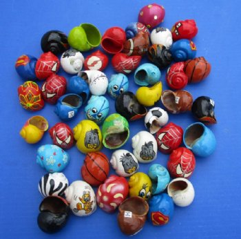 Assorted Painted Hermit Crab Shells, Sports Balls, Animal Prints, Cartoon Characters - 50 @ .58 each