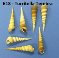 5-1/2 inches long Seashell Toy Soldier Ornaments -  Pack of 10 @ $3.95 each