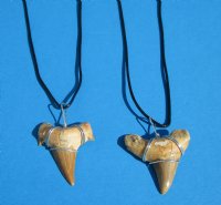 Two Moroccan Fossil Shark Tooth Necklaces with a 1-1/2 inches Shark's Tooth Pendants for $10.80 each