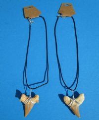 Two Moroccan Fossil Shark Tooth Necklaces with a 1-1/2 inches Shark's Tooth Pendants for $10.80 each