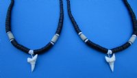 Two Black Coconut Beads Necklaces with 1-1/8 Modern Day Mako Shark Teeth Pendants 18 inches for $8.00 each