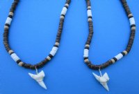 Two Brown Coconut 18 inches Necklace with 1 inch and 1-1/8 inches Shortfin Mako Shark Tooth Pendants - Buy these 2 for $8.00 each