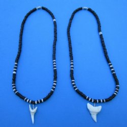 Two Black and White Shell Necklace with 1-1/8 and 1-1/4 inches Shortfin Mako Shark Tooth Pendants for $8.00 each