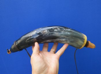 16-1/2 inches Polished Buffalo Powder Horn with Leather Carry Stap - $24.99