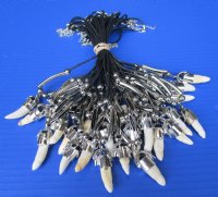 Authentic Alligator Tooth Necklaces for Sale with Gator Tooth Pendants, 20 inches - 3 @ $7.50 each