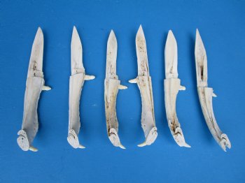  Alligator Bone Knives <font color=red> Wholesale</font>, 7 inches - 9 @ $10.80 each