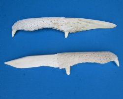  Alligator Jaw Bone Knives <font color=red> Wholesale</font>, 8 to 10 inches - 8 @ $13.50 each