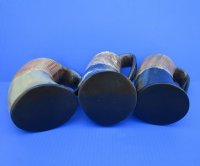 16 ounces Viking Horn Mugs, Half Carved, Half Polished <font color=red> Wholesale</font> 6 inches tall -8 @ $20.70 each <FONT COLOR=RED> SALE $17 EACH</FONT>