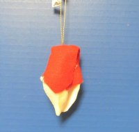 2-1/2 inches Painted Seashell Santa with Red Cap <font color=red> Wholesale</font> - 50 @ $2.45 each