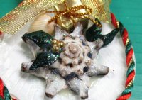 3 inches Sun Shell Beach Themed Ornaments <font color=red> Wholesale </font> - 70 @ $1.40 each