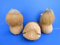 Carved Coconut Pirate with Guitar - 15 @ $5.25 each; <font color=red> Wholesale</font> 30 @ $3.50 each
