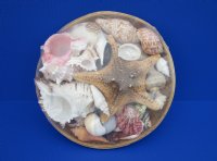 10" Round Basket of Shells - Case: 15 @ $6.00 each; <font color=red> Wholesale</font> 2 or More @ $5.30 each