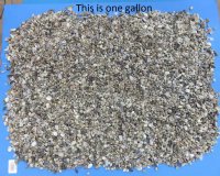 Tiny Assorted Craft Shells from India, Under 1 inch - 8 Gallons @ $11.47 a gallon 