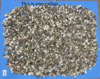 1/2" to 1-1/2" Tiny and Small Assorted Seashells, Indian Mix - 10 Gallons @ $9.00 a gallon; 20 <font color=red> Wholesale Bags</font> @ $7.90 a gallon