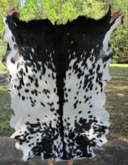 Goat Skins, Hides