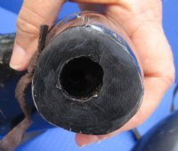 20 to 23 inches Extra Large Real Buffalo Blowing Horn with Leather Shoulder Strap, Viking War Horn - $35.99 each