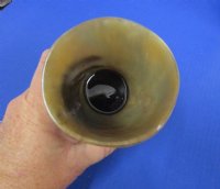 6 inches tall Ox Horn Cups (12 ounce) <font color=red>Wholesale</font>  - 10 @ $10.00 each; 20 @ $9.00 each