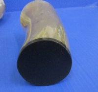 6 inches tall Ox Horn Cups (12 ounce) <font color=red>Wholesale</font>  - 10 @ $10.00 each; 20 @ $9.00 each