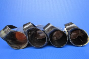 32 ounces Polished Cow Horn Beer Mugs with Wood Bases <font color=red> Wholesale</font> 7" to 9 " Tall - 8 @ $16 each