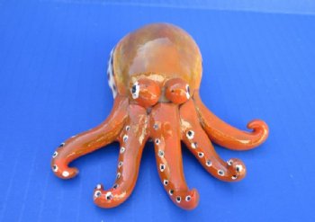 3-1/2 inches Painted Tiger Cowrie Octopus Novelty - 12 @ $4 each