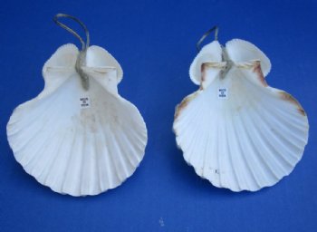4-1/4 inches White Scallop Shell Angel Ornaments <font color=red> Wholesale</font> - 60 @ $1.60 each